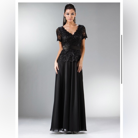 Cinderella Divine 1452 Champagne Beaded & Lace Chiffon Empire Waist Dress Sz 4XL - Picture 5 of 5